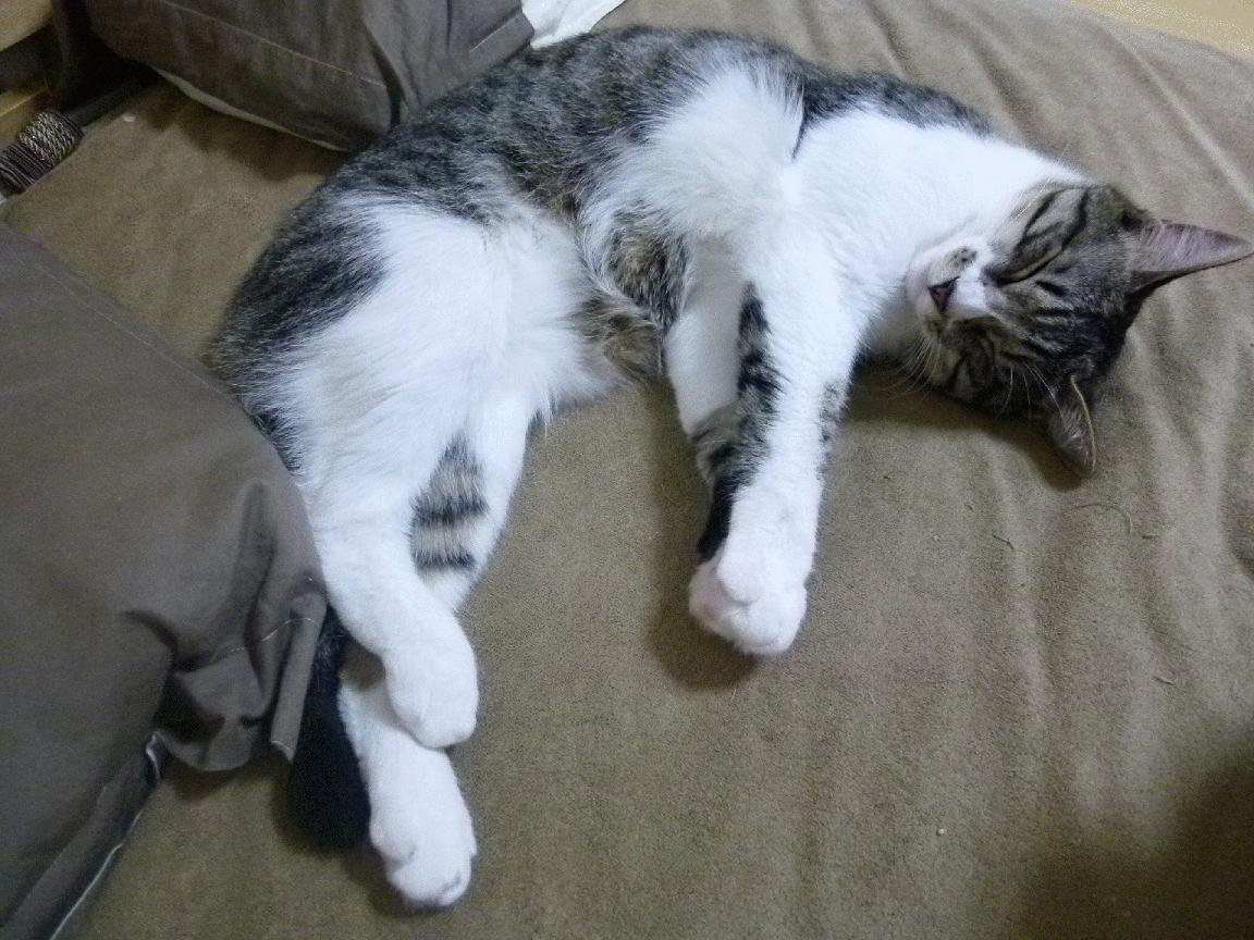 开云在线直播-76人恩比德持续“30+”，站稳东部得分王宝座！，76人恩比德几号球衣