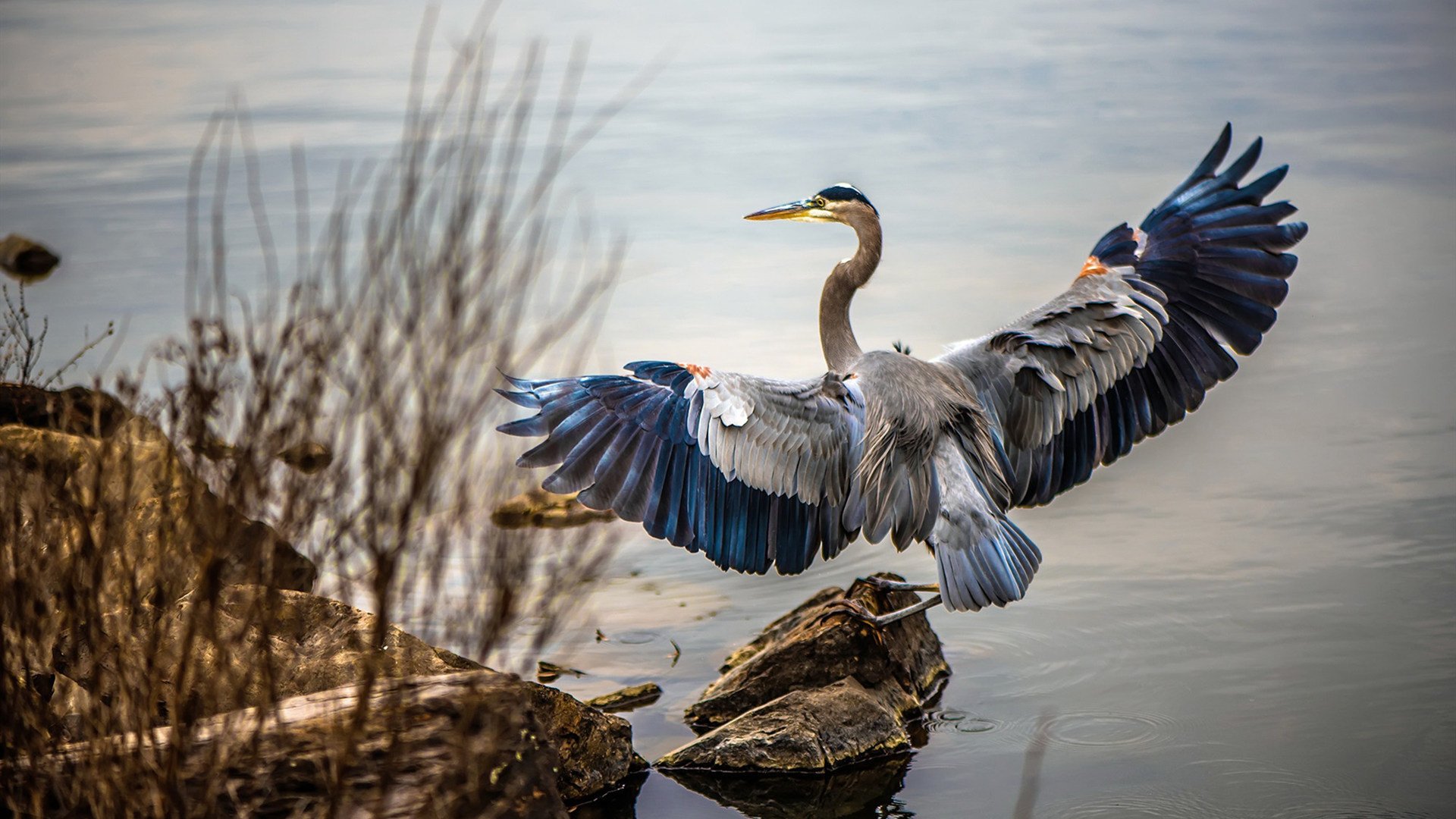 开云网页版-76人恩比德砍下30+,带领球队稳步前进,季后赛形势越来越明朗!,76人恩比德为何没上场